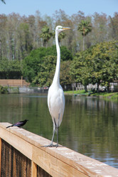 Similar image 8513255