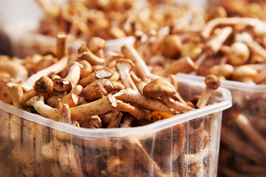 Similar image 8513268