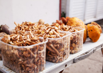 Similar image 8513269