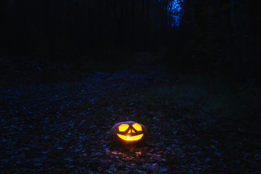 Similar image 8513278