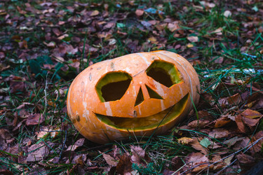 Similar image 8513279