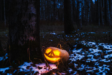 Similar image 8513280