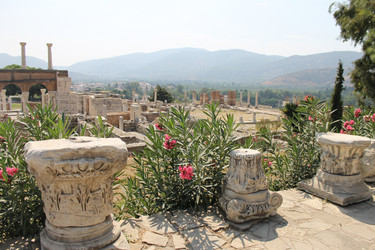 Similar image 8513313