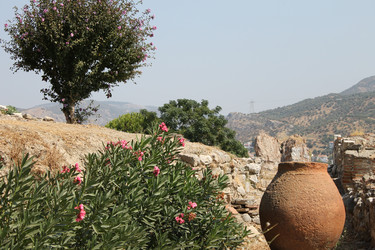 Similar image 8513315