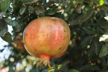 Similar image 8513334