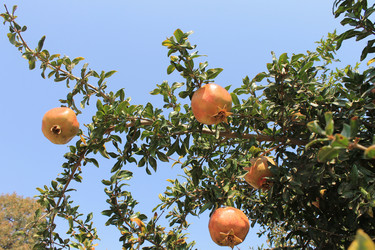 Similar image 8513338