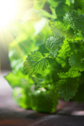 Similar image 8513442