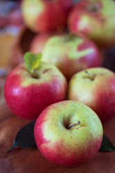 Similar image 8513446