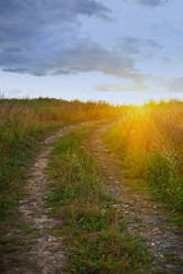 Similar image 8513493