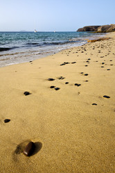 Similar image 8513542