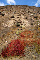 Similar image 8513567