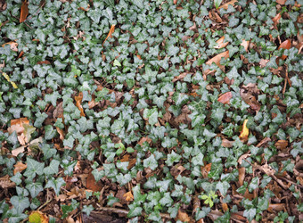 Similar image 8513756