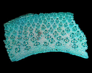 Similar image 8513888