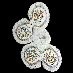 Similar image 8513904