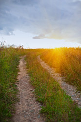 Similar image 8514008