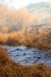 Similar image 8514052