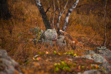 Similar image 8514054