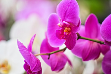 Similar image 8514109