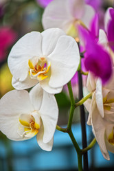 Similar image 8514110