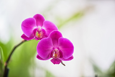 Similar image 8514111