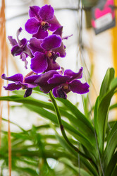 Similar image 8514125