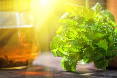 Similar image 8514127