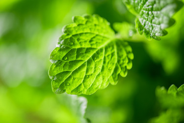 Similar image 8514138