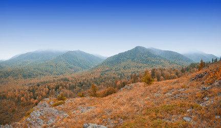 Similar image 8514150