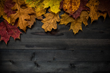 Similar image 8514155