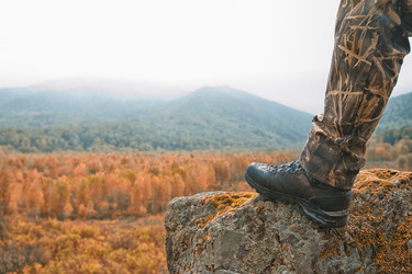 Similar image 8514158