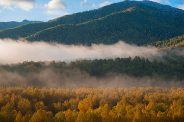 Similar image 8514161