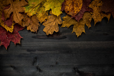 Similar image 8514166