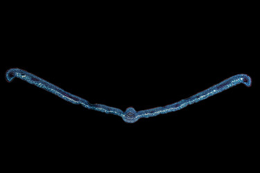 Similar image 8514213