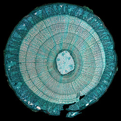 Similar image 8514214