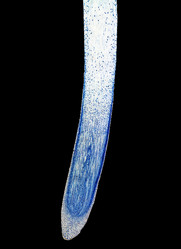 Similar image 8514217