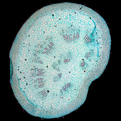 Similar image 8514219