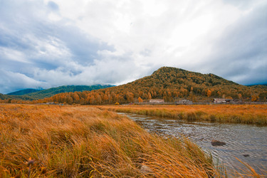 Similar image 8514254