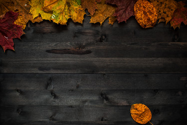 Similar image 8514314