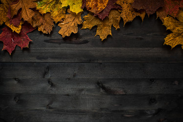 Similar image 8514319