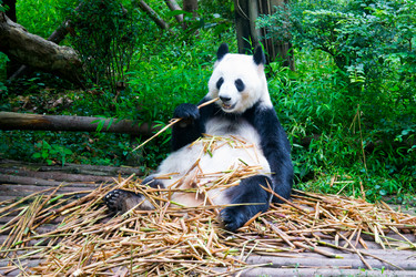 Similar image 8514419