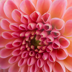 Similar image 8514741