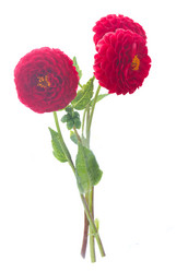 Similar image 8514742