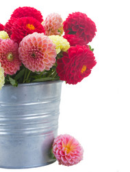 Similar image 8514743