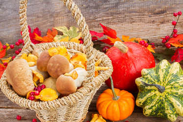 Similar image 8514797