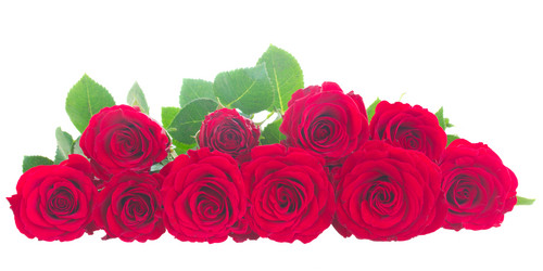 Similar image 8514836