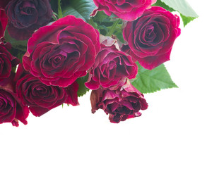 Similar image 8514843