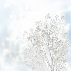 Similar image 8514956