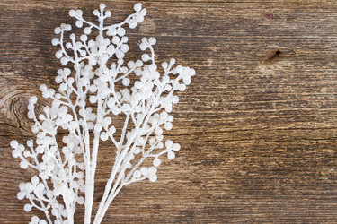 Similar image 8515101