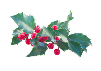 Similar image 8515110