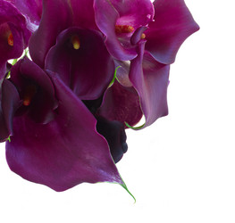 Similar image 8515206